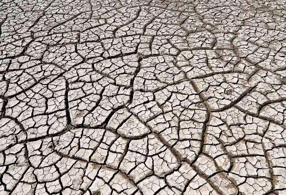 cracked earth